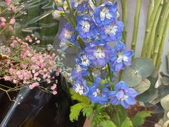 -爱尚幸福鲜花(上地实体店)