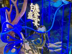 -远大购物中心(南岗店)