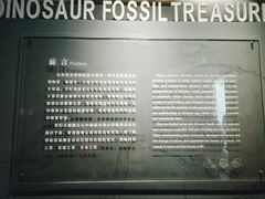 -自贡恐龙博物馆