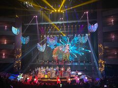 -水秀国际大剧院