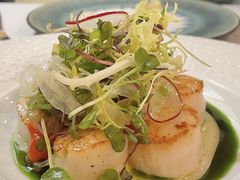 -蝶舍·MAISON PAPILLON