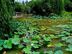 -韩湘水博园