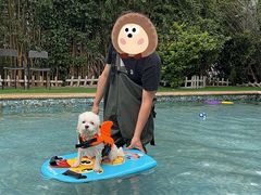 -汪说喵讲宠物乐园宠物酒店(红星美凯龙店)