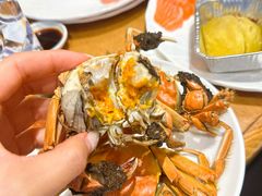 -禾斗海鲜自助(城阳宝龙店)