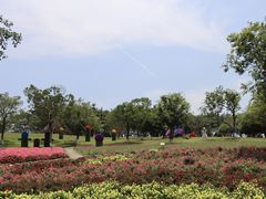 -松山湖梦幻百花洲