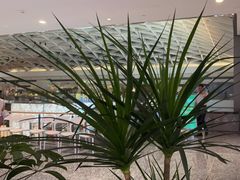 -江南厨子(万象天地店)