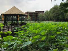 -天赐温泉