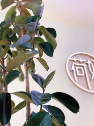 -HEYAN长风荷妍专业脱毛美肤
