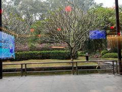 -南宁荔园维景国际酒店·荔园中餐厅