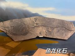 -柳州博物馆