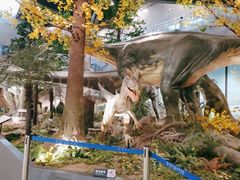 -湖南省地质博物馆