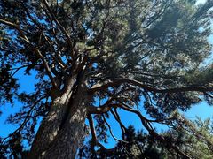 -终南山南五台景区