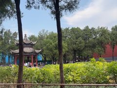-洛阳白马寺
