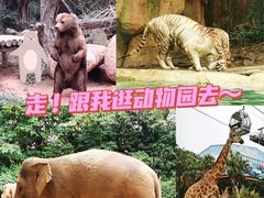 -广州长隆野生动物世界