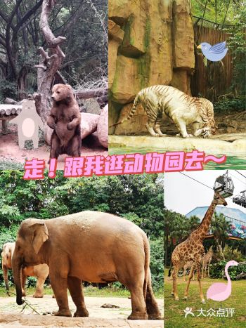 湖南卫视钟爱的动物园，到底长啥样