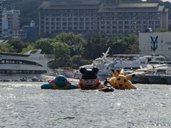 -小猫钓鱼海钓俱乐部(椰梦长廊店)