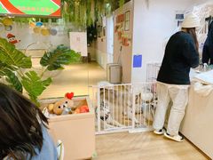 -Husky Go! 哈士奇体验馆·宠物咖啡厅狗咖