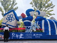 -荷兰花海
