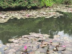 -白沙门生态公园