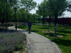 景点-永定河休闲森林公园