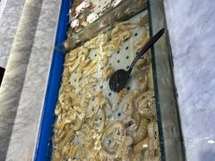 -川骄海鲜自助(河东店)