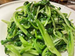 鸡毛菜-鸽子窝(黄村店)