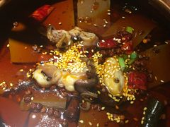 -九锅一堂酸菜鱼(新南凯德直营店)