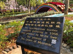 -中缅友谊树