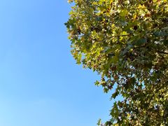 -钟山体育运动公园