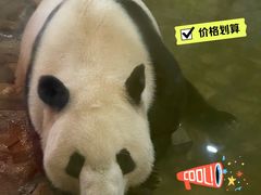 -西安秦岭野生动物园
