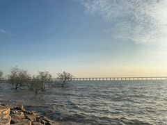 -宝安西湾红树林湿地公园