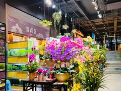 -扶光书店(中环店)