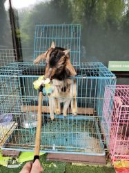 -可可天空农场(中大店)