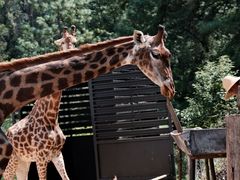 -云南野生动物园