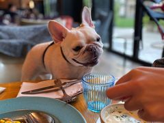 -JUJU韩式烤肉·干杯小酒馆
