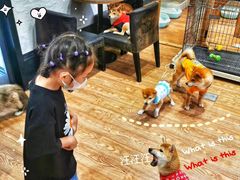 -猫色咖啡·猫咖