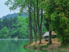 -泽雅景区