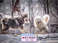 -DQ·蛋糕·冰淇淋(活力城店)
