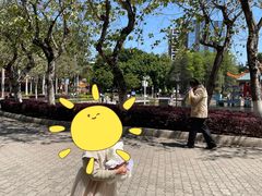 -金砂公园