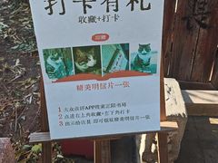 -正阳书局(西四南大街店)
