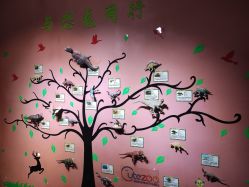 -酷嗒动物文化乐园(cutezoo西溪乐天城店)