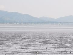 -深圳湾公园(南山区)