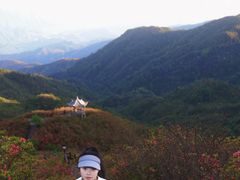 -大围山国家森林公园