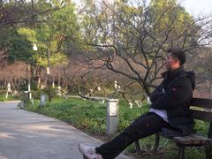-青枫公园