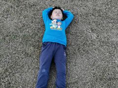 -春花秋色城市公园