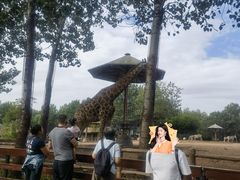 -大连森林动物园