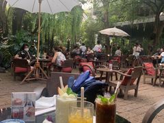 -Fern Forest Cafe