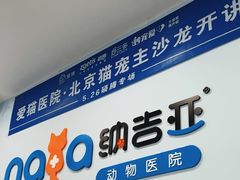 -纳吉亚猫专科动物诊疗中心(蒋宅口分院)
