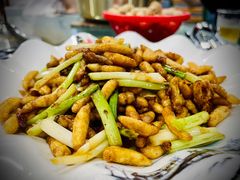 炸蜂蛹-洞背山庄(洞背院区式管理小区店)