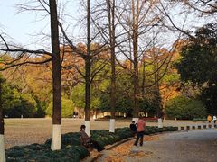 -灵谷景区